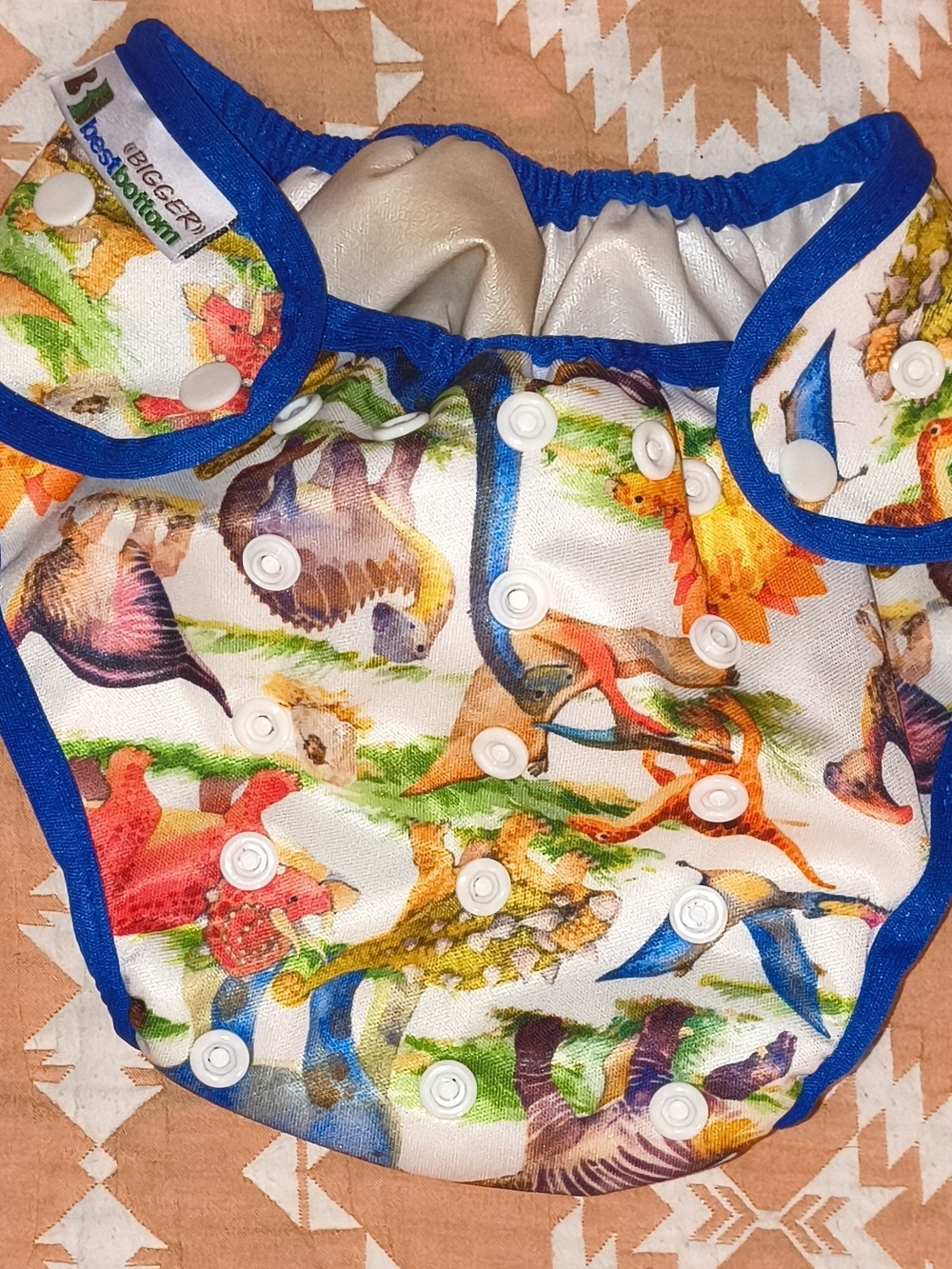 Best Bottom Blue-Trim Multicolor Dino Print Diaper Cover